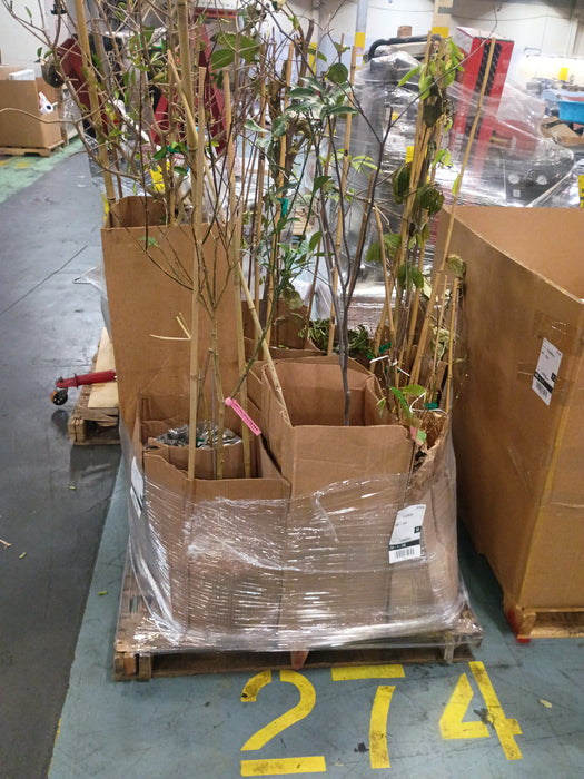 274: Plants PL000IQX