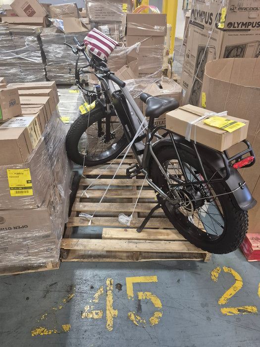 245: E Bike PL000V6C