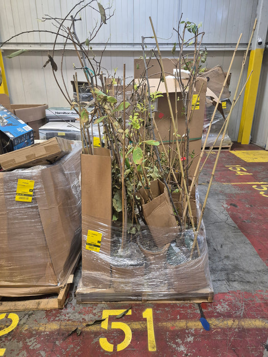 051: Plants/Trees PL000UHD