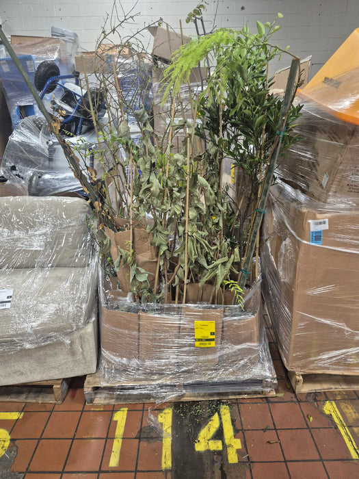 114: Plants/Trees PL000UHB