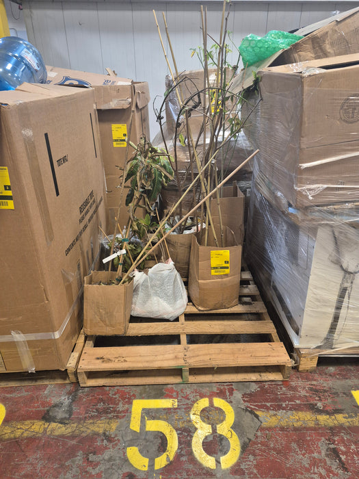058: Plants/Trees PL000VPC