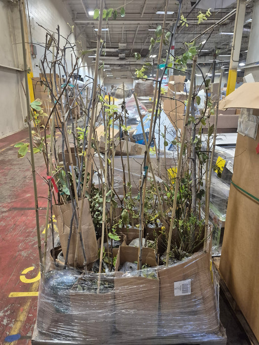 051: Plants/Trees PL000UHD